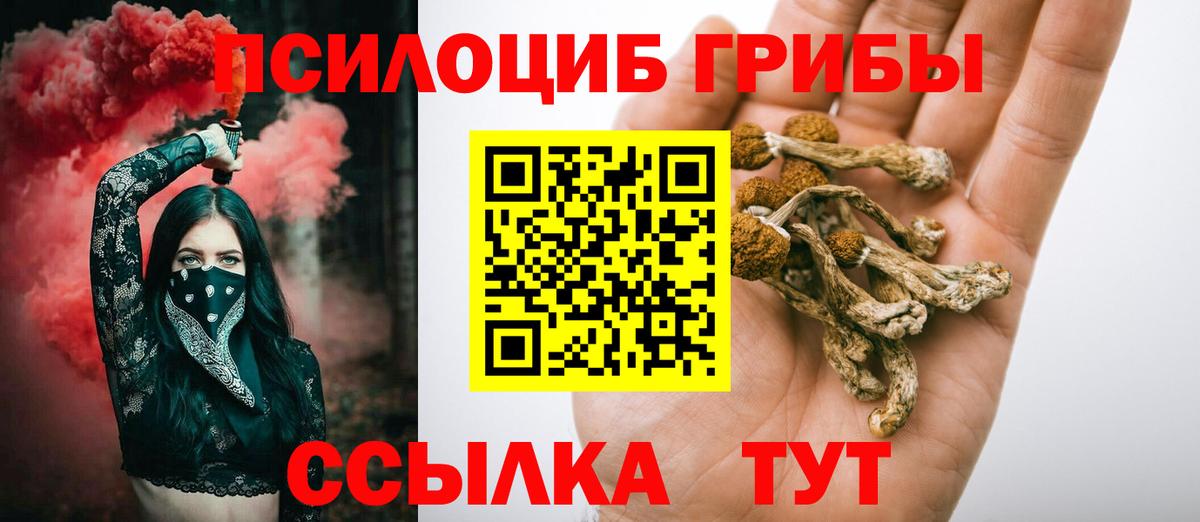 Галлюциногенные грибы мицелий Можайск