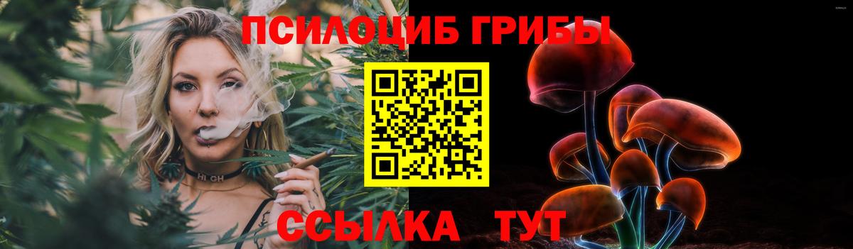 Можайск  Псилоцибиновые грибы Psilocybine cubensis  Вход с VPN  Псилоцибиновые грибы Cubensis 